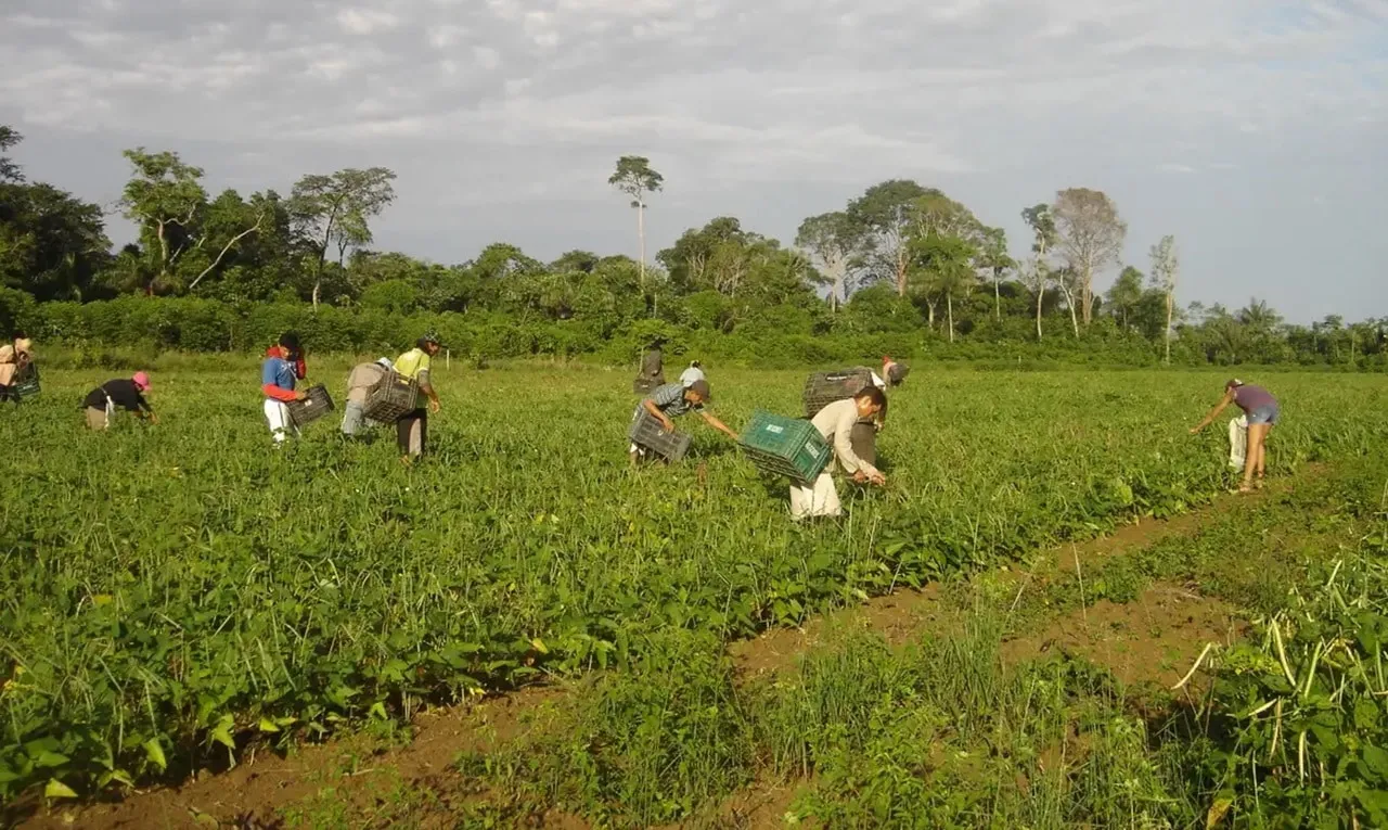 Renegociação de dívidas do agro é confirmada e promete aliviar milhares de produtores no Brasil 