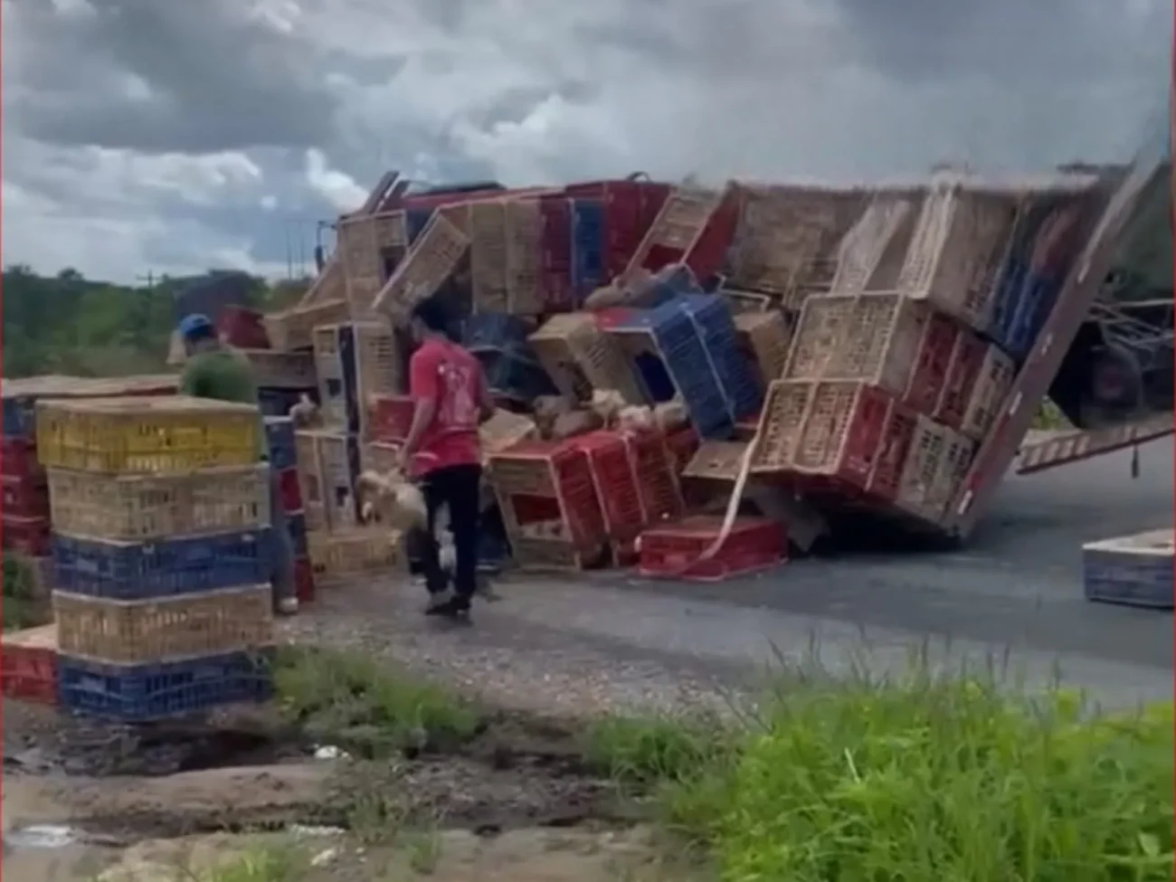 Vídeo mostra caminhão carregado de galinhas tomba e carga fica espalhada em estrada de Cariré no Ceará 