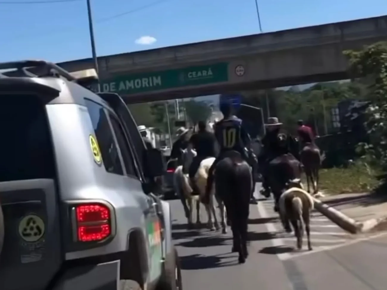 Vídeo mostra cavalgada sob forte calor gera revolta e denúncia de coordenadora de proteção animal no Cariri 