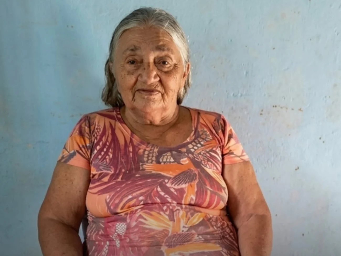 Idosa de 75 anos morre após ataque de enxame de abelhas em Ararendá no Ceará 