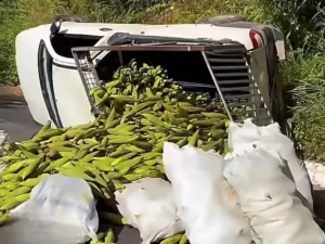 Carro carregado de milho capota na ladeira da Ibiapaba no Ceará