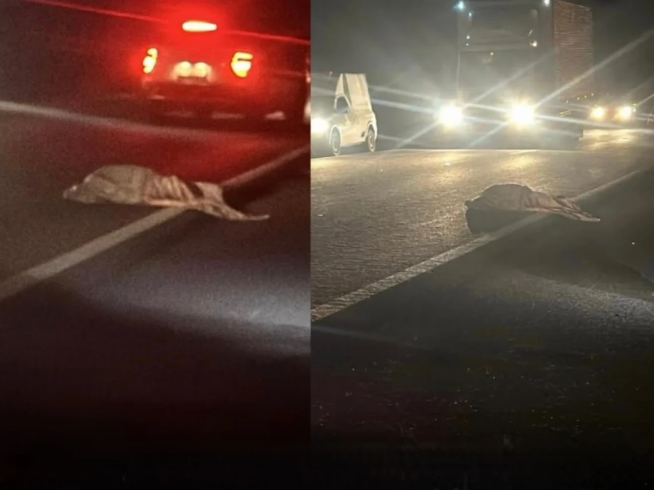 Mulher morre e outra fica ferida em grave acidente na BR-222, em Ubaúna, distrito de Coreaú