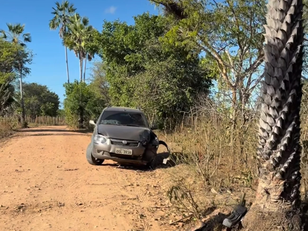 Carro colide contra carnaúba em desvio de obra na entrada da barra do Banabuiú no Ceará e acidente chama atenção em Limoeiro do Norte 