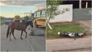 Motociclista morre ao colidir com cavalo solto em rodovia na Grande Fortaleza